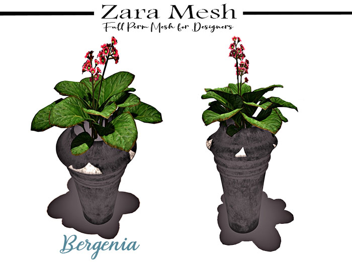 Second Life Marketplace Zara Mesh Plants Bergenia FULL PERM MESH